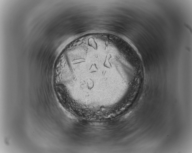 X0000099941245200806131418