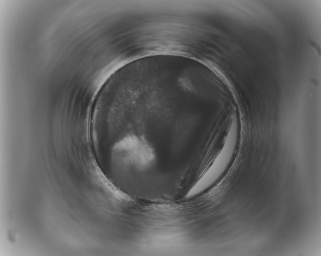 X0000099941246200806131418