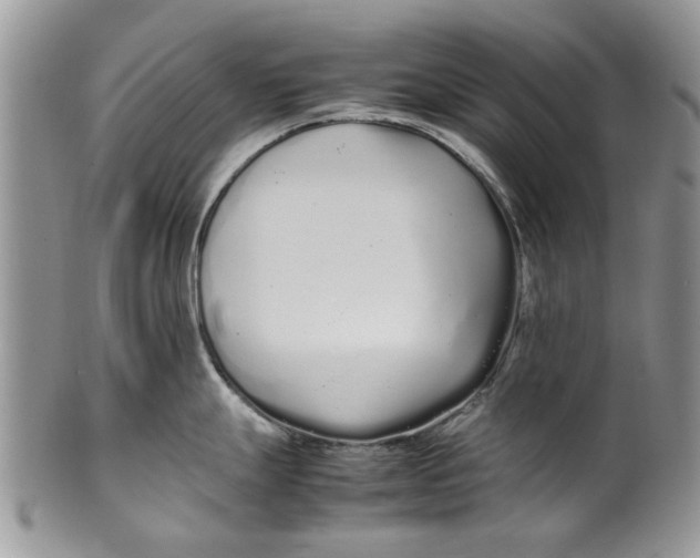 X0000099941247200806131418