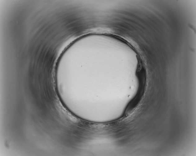 X0000099941248200806131418