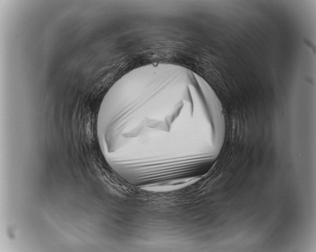 X0000099941250200806131417