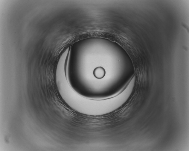 X0000099941252200806131417