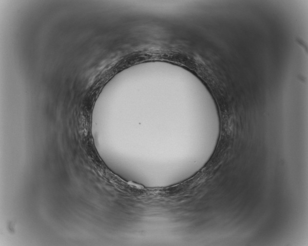 X0000099941253200806131417