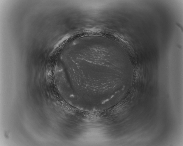 X0000099941254200806131417