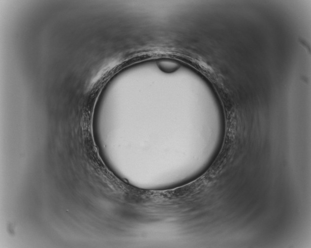 X0000099941255200806131417