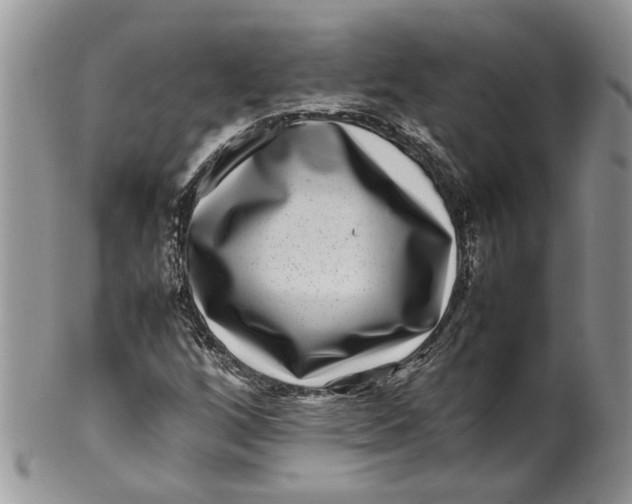 X0000099941256200806131417