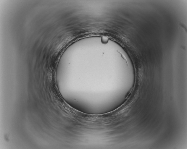 X0000099941257200806131417