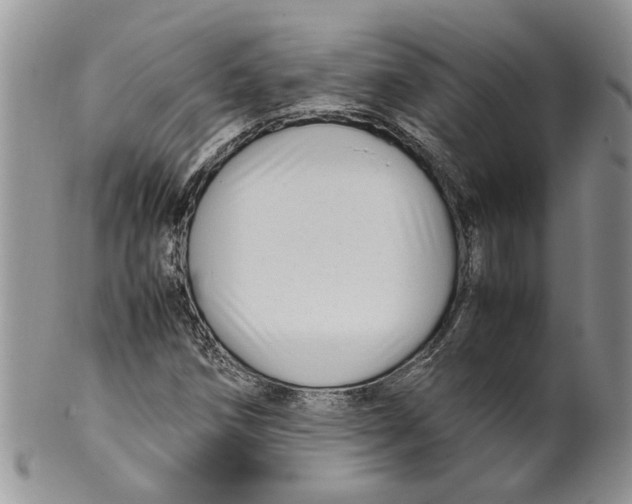 X0000099941258200806131417