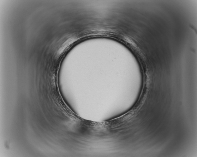 X0000099941259200806131417