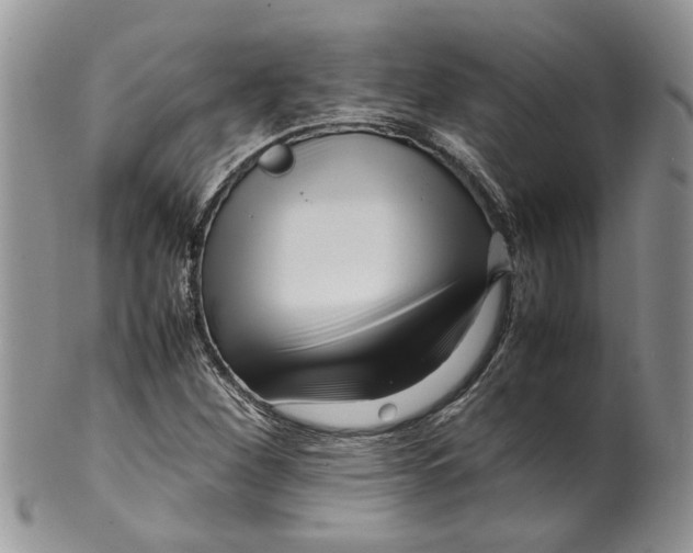 X0000099941260200806131417