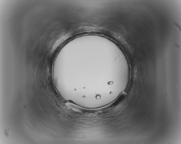 X0000099941261200806131417