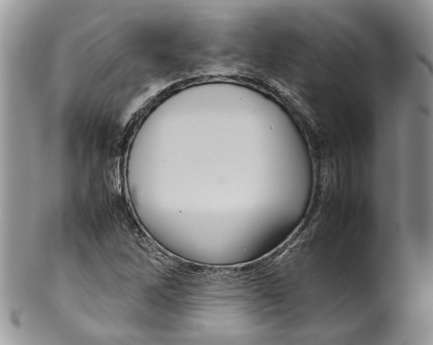 X0000099941262200806131417