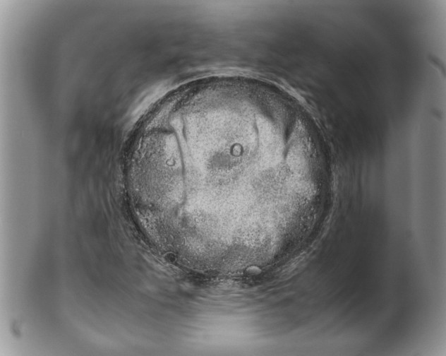 X0000099941263200806131417