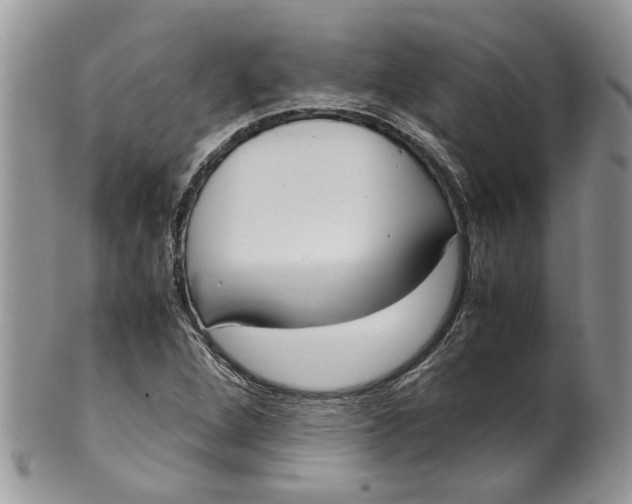 X0000099941264200806131417