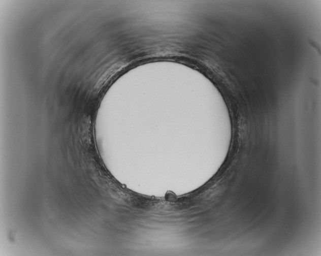 X0000099941265200806131417