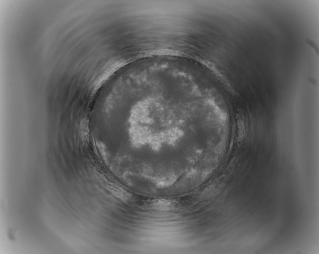 X0000099941266200806131417