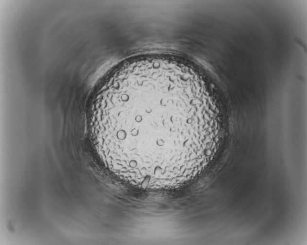 X0000099941267200806131417