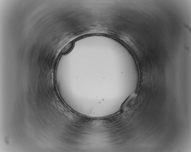 X0000099941268200806131417