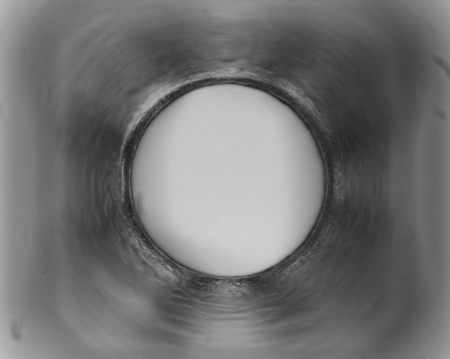 X0000099941270200806131417