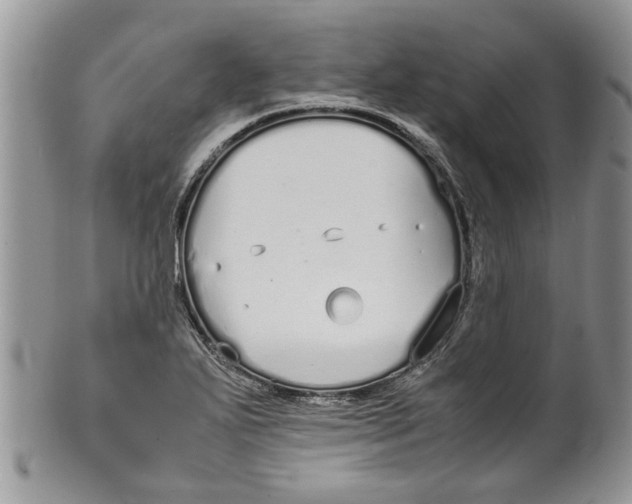 X0000099941271200806131417