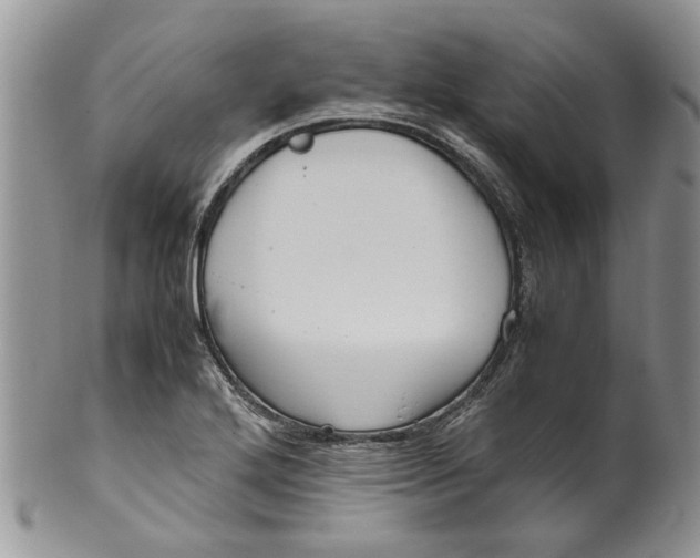 X0000099941272200806131417