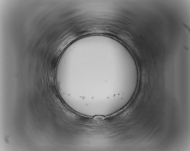 X0000099941273200806131417