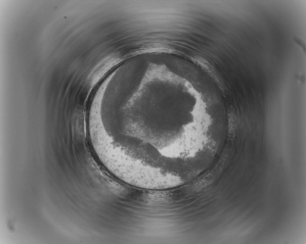 X0000099941274200806131417