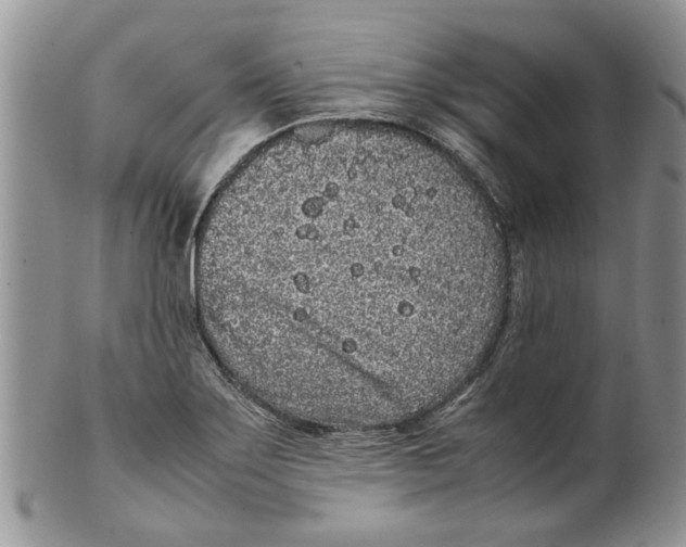 X0000099941275200806131417