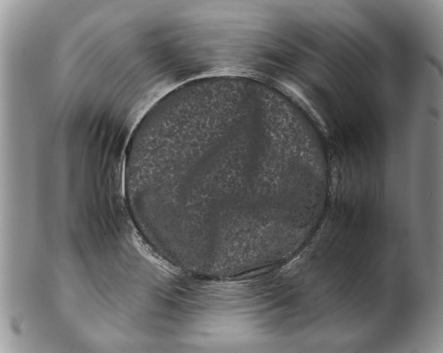 X0000099941276200806131417