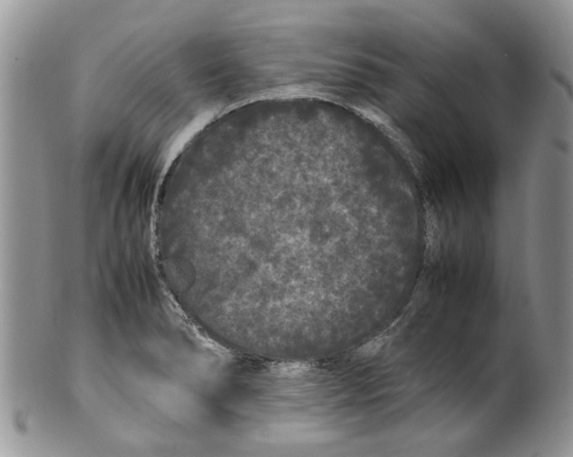 X0000099941278200806131417