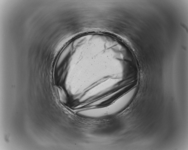 X0000099941279200806131417