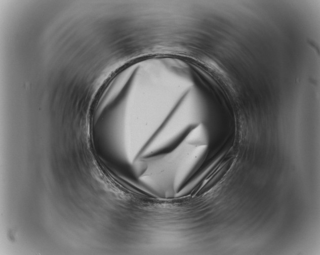 X0000099941280200806131417