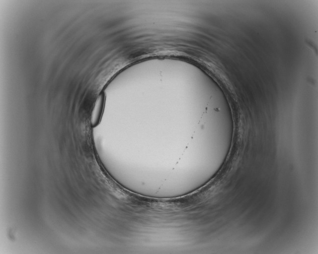 X0000099941281200806131417