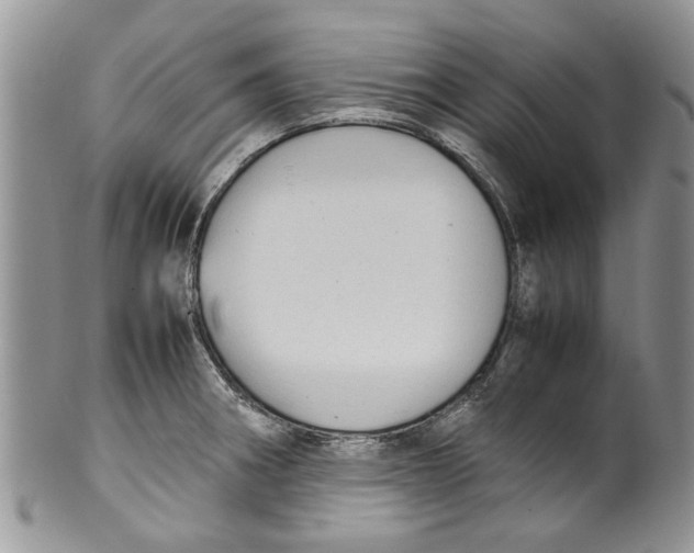 X0000099941282200806131417