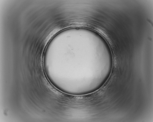 X0000099941283200806131417