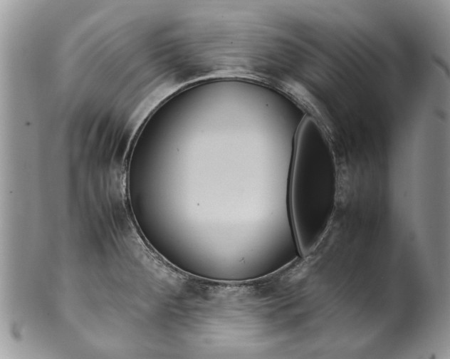 X0000099941284200806131417