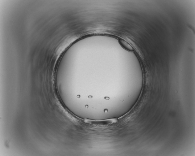 X0000099941285200806131417