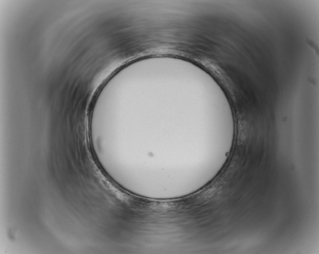 X0000099941286200806131417