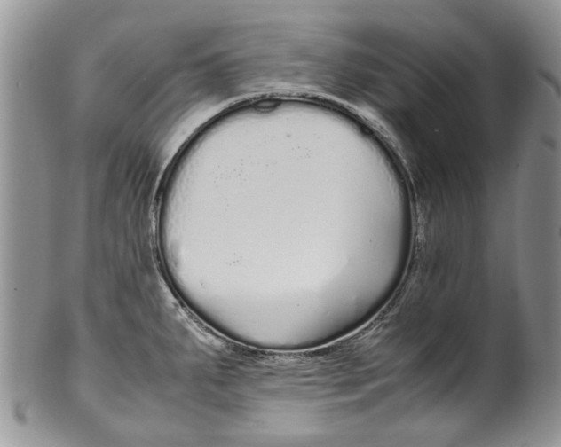 X0000099941287200806131417