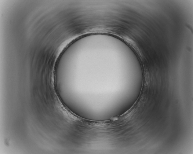 X0000099941288200806131417