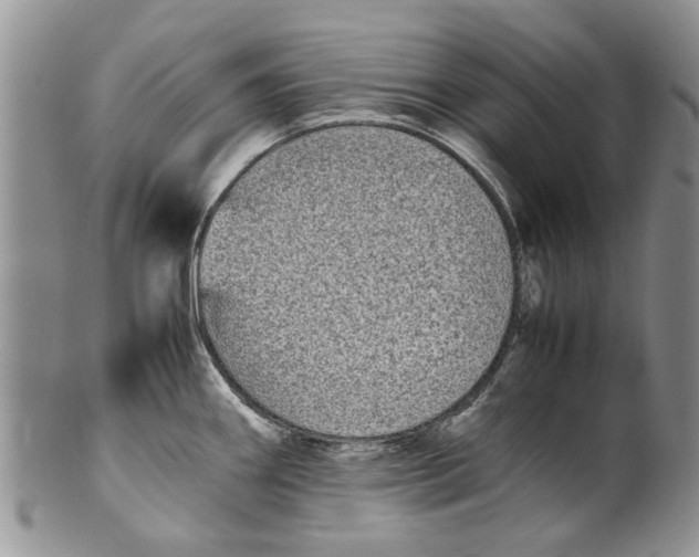 X0000099941290200806131417