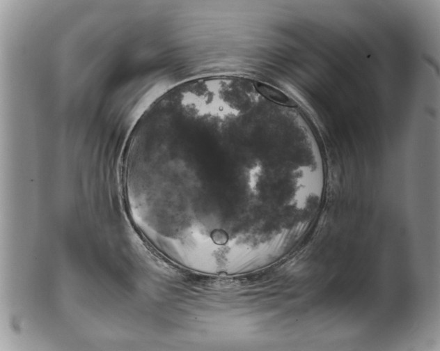 X0000099941291200806131417