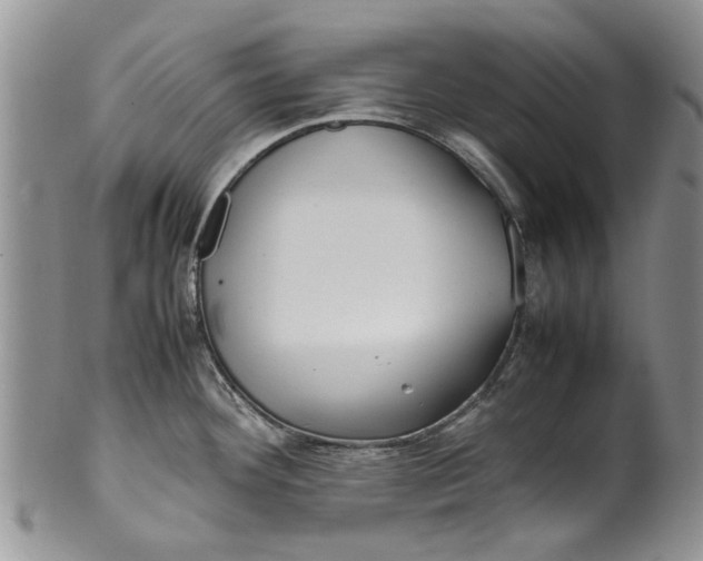 X0000099941292200806131417