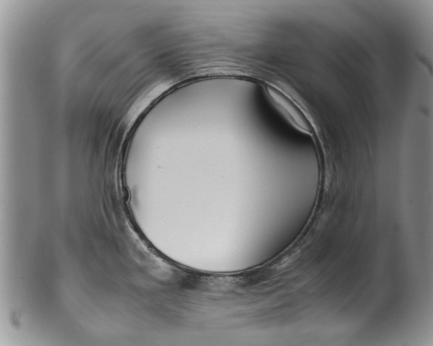 X0000099941293200806131417