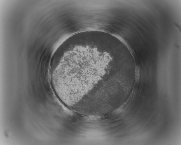 X0000099941294200806131417