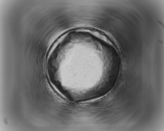 X0000099941295200806131417