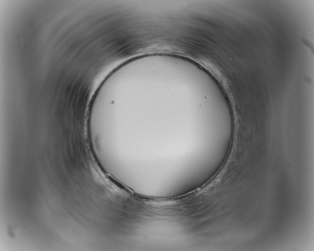 X0000099941296200806131417