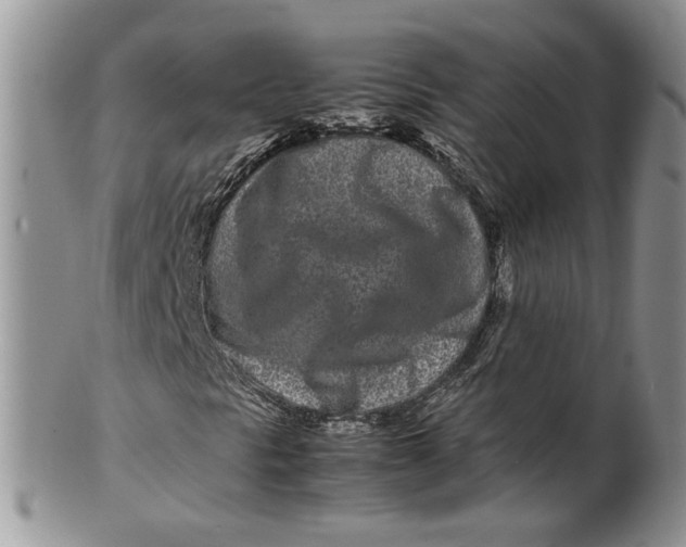 X0000099941297200806131416