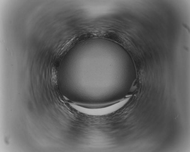 X0000099941298200806131416