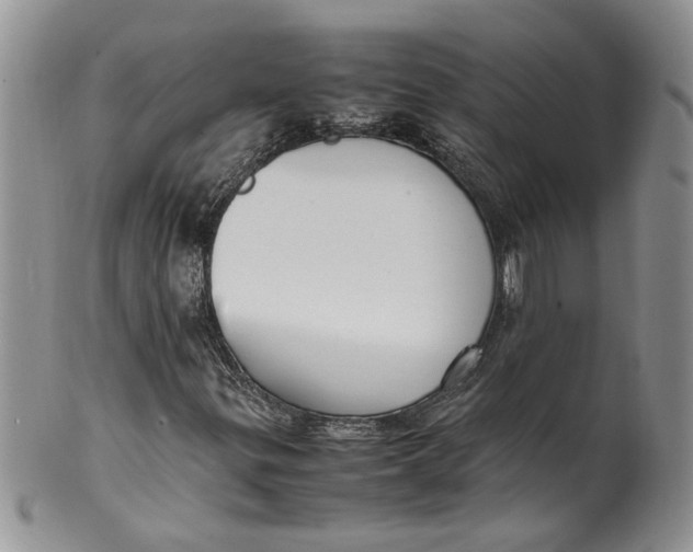 X0000099941299200806131416